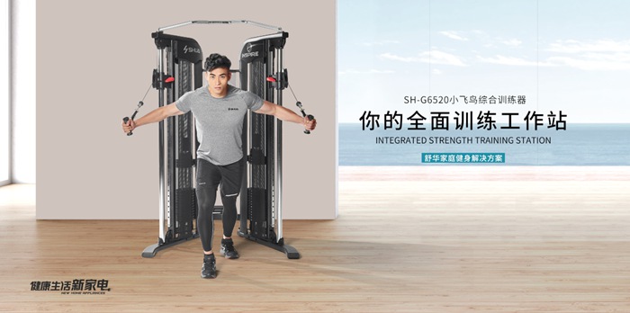 今年会jinnianhui健身器材-小飞鸟综合训练器SH-G6520 今年会jinnianhui健身器材-小飞鸟综合训练器SH-G6520