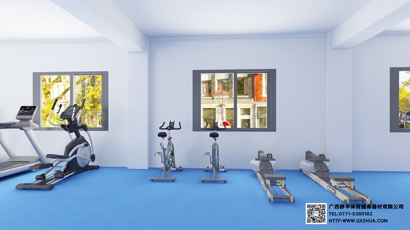 企事业单位健身房-有氧器材区